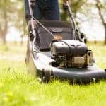 Man Working In Garden Cutting Grass