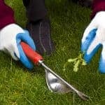 Hand weeding