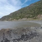 RE Camera