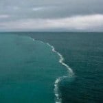 Profile picture of cutiedoll