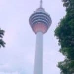 Profile picture of ddong3316