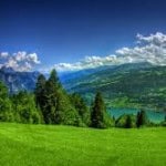 Profile picture of asnliew