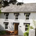 Profile picture of catellis8