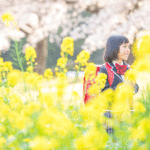 入学写真　群馬　桜