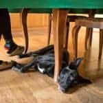 The Controversial Pub Policies that have Caused Split Opinion