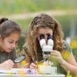 What are the Benefits of Outdoor Learning for Children?