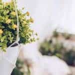 Flowerpot hanging on rope