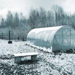 Jobs In The Garden For January