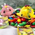 Partyitos Rainbow Fishito and Whaleito