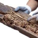 How To Prepare Your Home for Termite Treatment