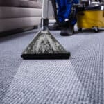 Factors to Consider Before Purchasing a Professional Carpet Cleaner