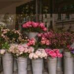 How to Make Flowers Last Longer