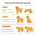 How to Introduce Your Children to a New Dog – A Complete Guide