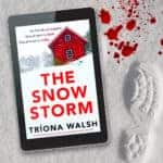 The Snow storm by Tríona Walsh