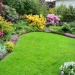 landscaping trends