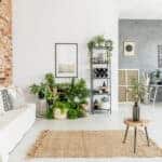 Your Guide To Improving Your House: Inside and Out