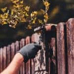 The Right Lumber For Different Outdoor Projects