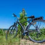 On Two Wheels Through the Land of Vineyards
