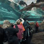 How to Travel with Kids Without Losing Your Mind