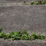 Signs Your Sidewalk or Driveway Needs Professional Concrete Repair