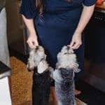 How to Make Feeding Your Family Dog Easier With a Busy Schedule