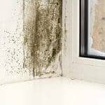 Signs Your Home Has a Moisture Problem and What to Do About It