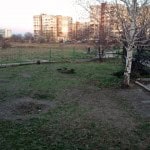 Garden-Before-2