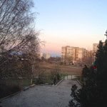 Garden-Before-3