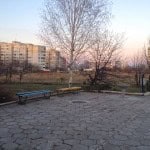 Garden-before-1