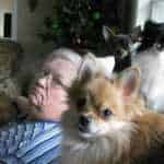 Sepolti in casa: animali, l'Animal Hoarding dal 2 Marzo su Real Time | Digitale terrestre: Dtti.it