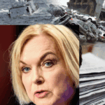 Judith Collins, LawFuel