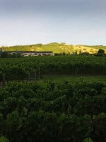 https://www.vinography.com/wp-content/uploads/2020/04/craggy_range_vineyards-thumb.jpg