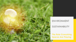 Environmental Sustainability