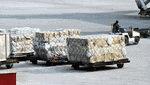 freight01　輸入差止