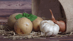 potato gerlic