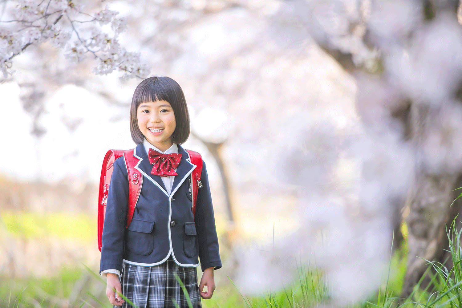 入学写真　群馬　桜