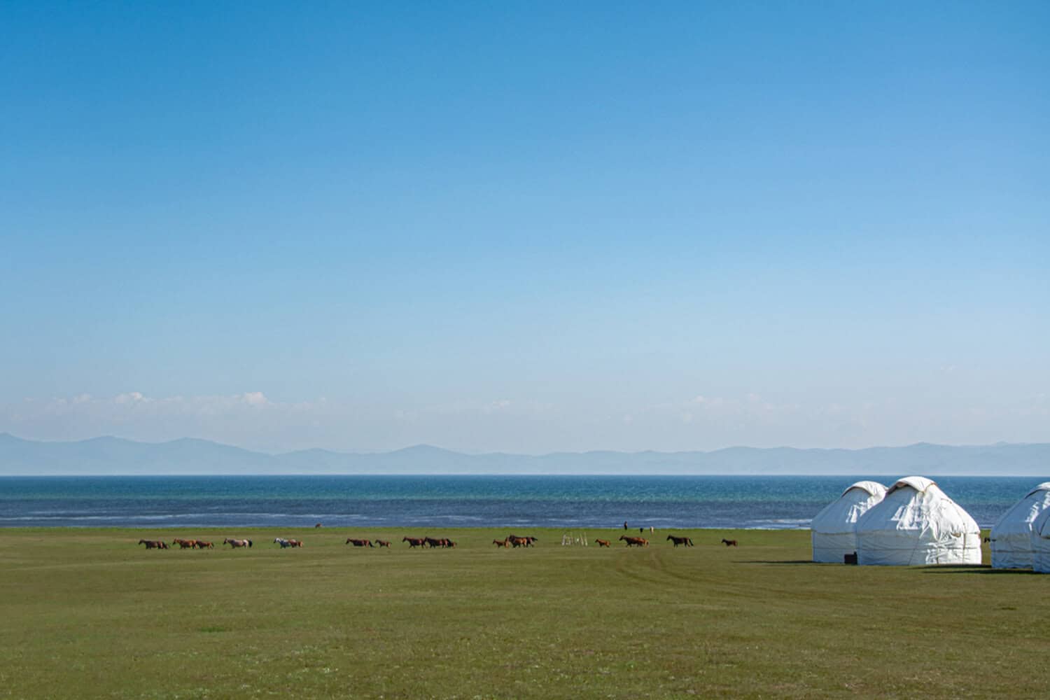songkol_horsetrek_adventure_yurt