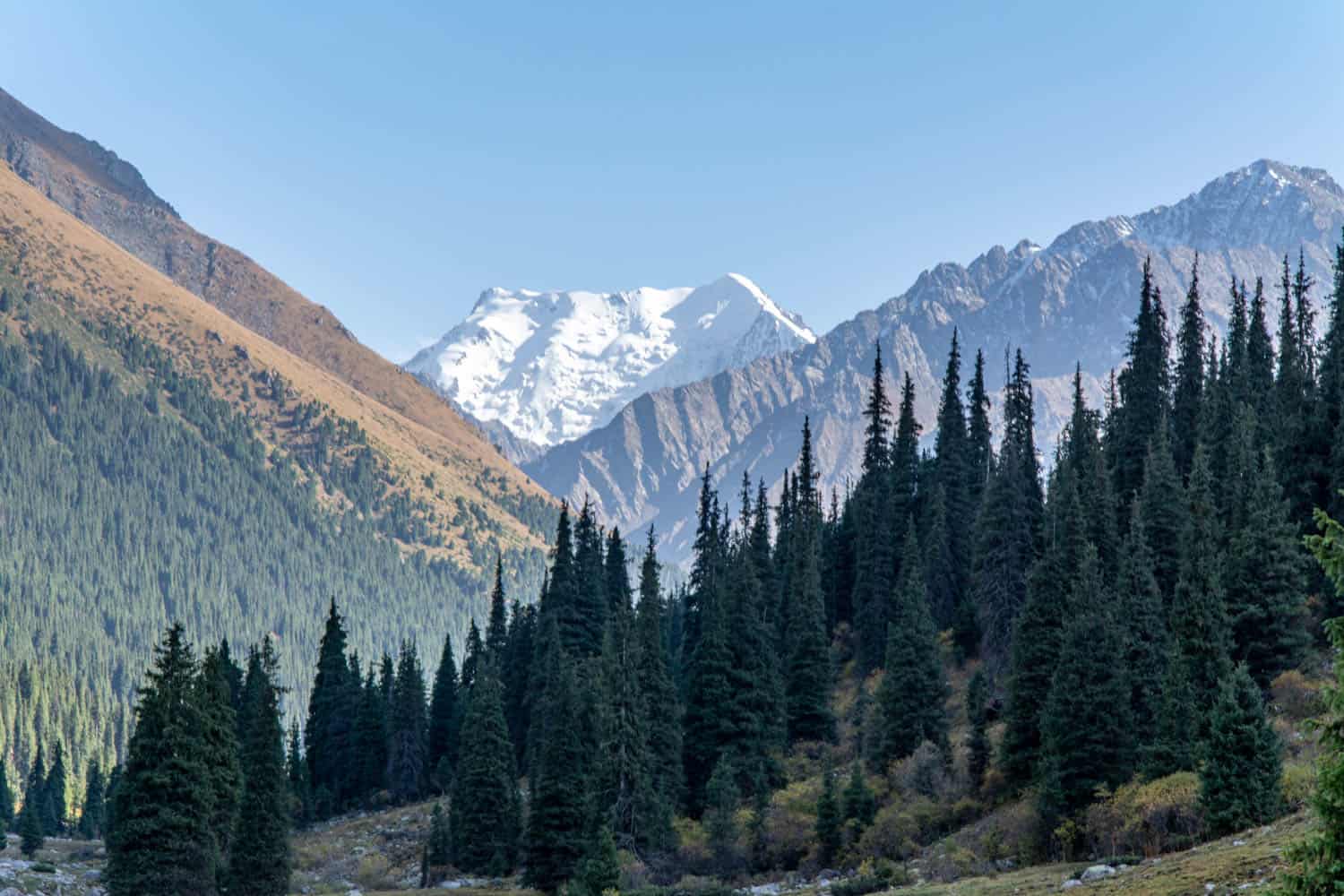 palatka-peak-tian-shan