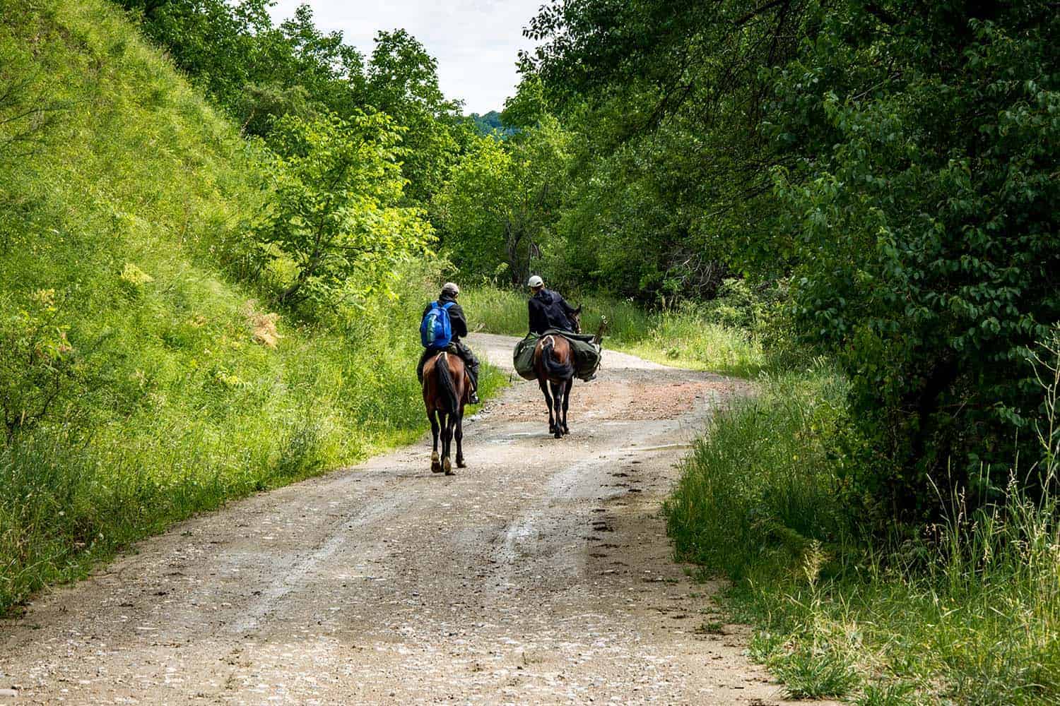 sarychelek_horse_trek
