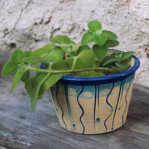 Květináč s modrým zdobením