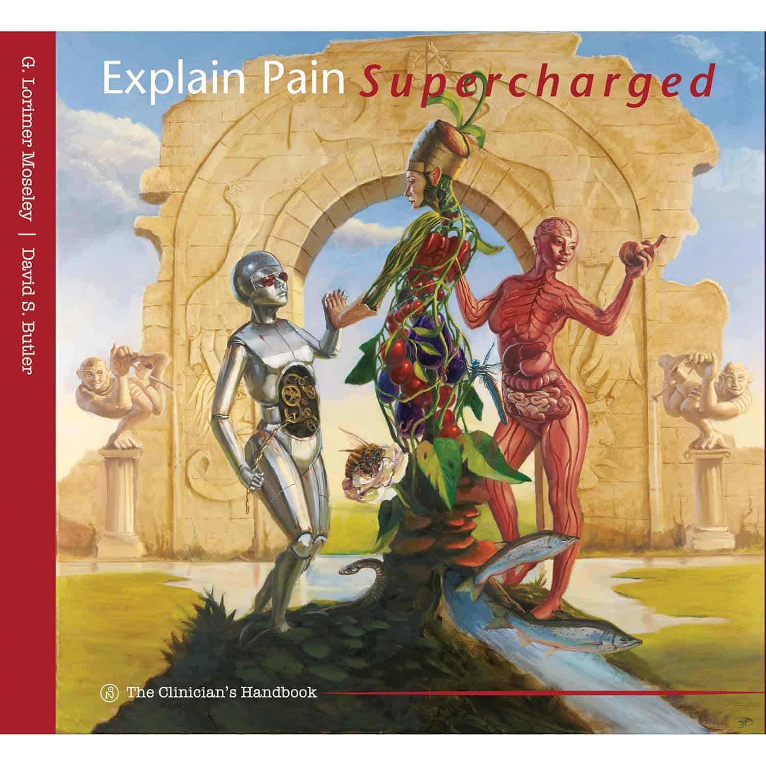 explain pain