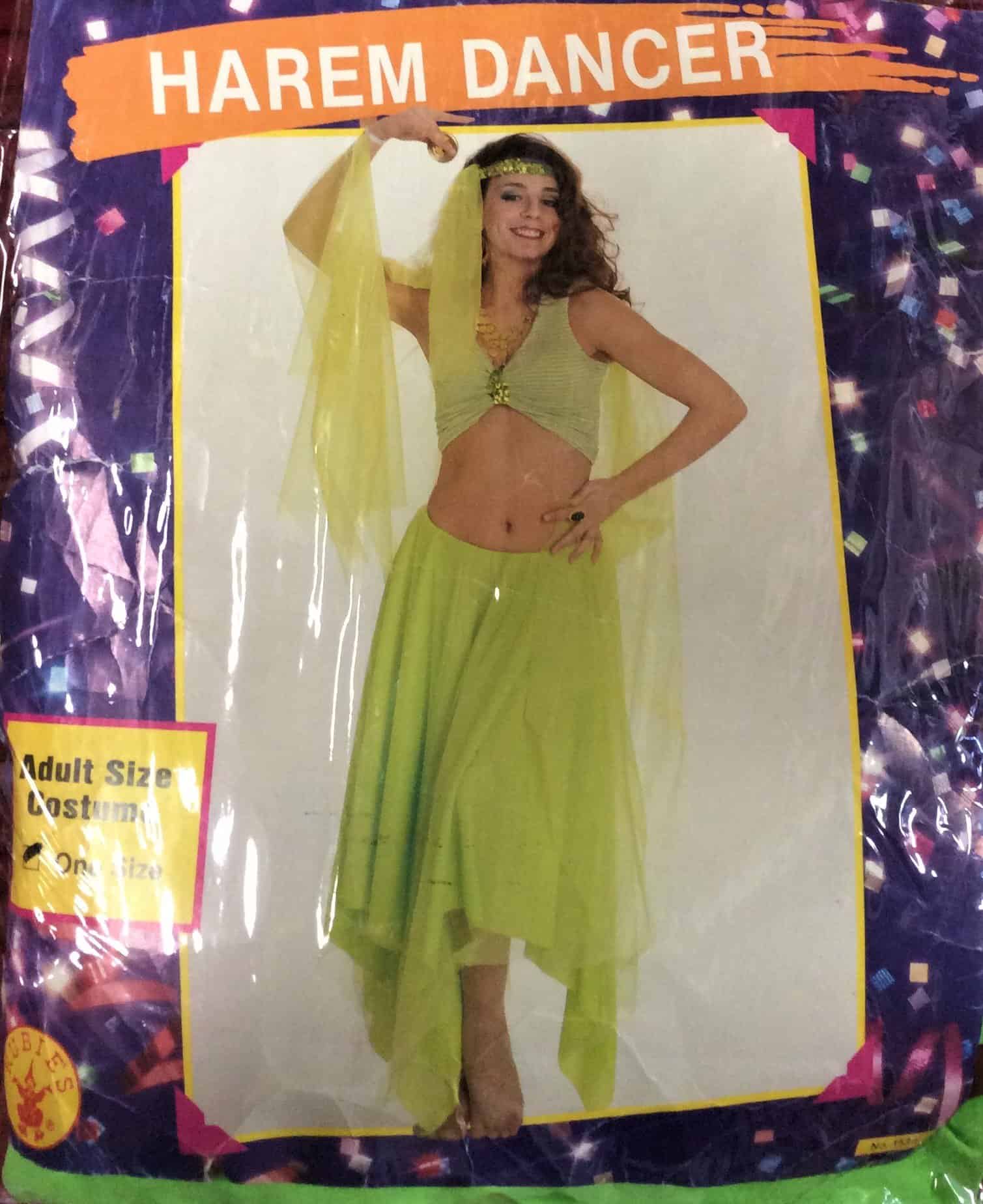 Harem Dancer