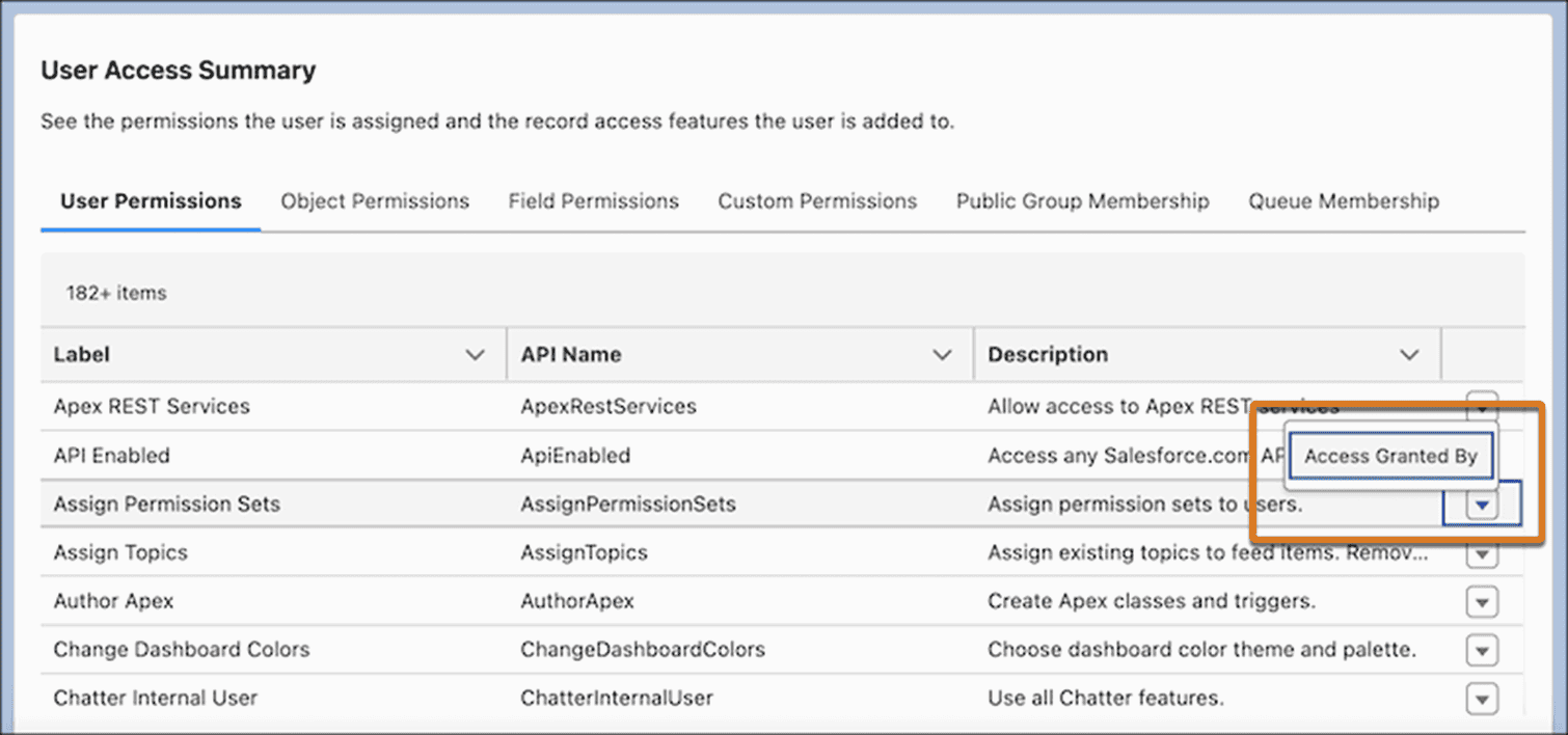 Salesforce Winter '25 Release - User Access Summary
