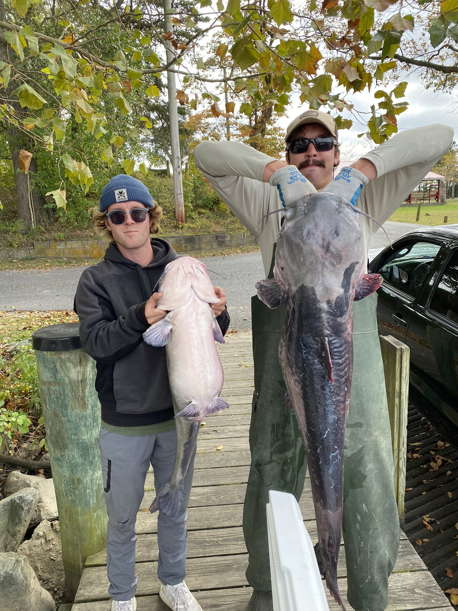 New Study Finds First Ever Record Of Blue Catfish Eating A Duck Whole