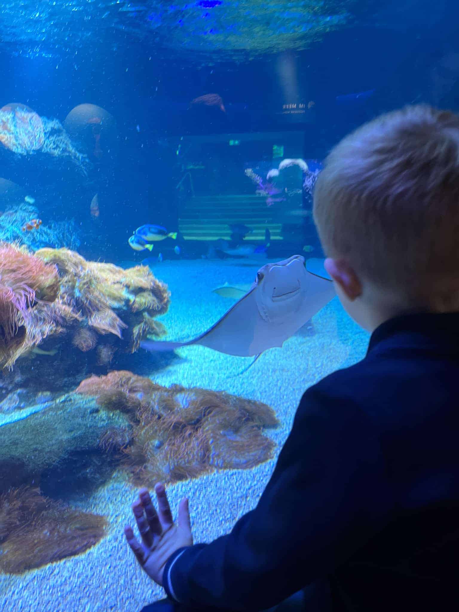 Aquazoo Düsseldorf – Familienausflug mit Kindern