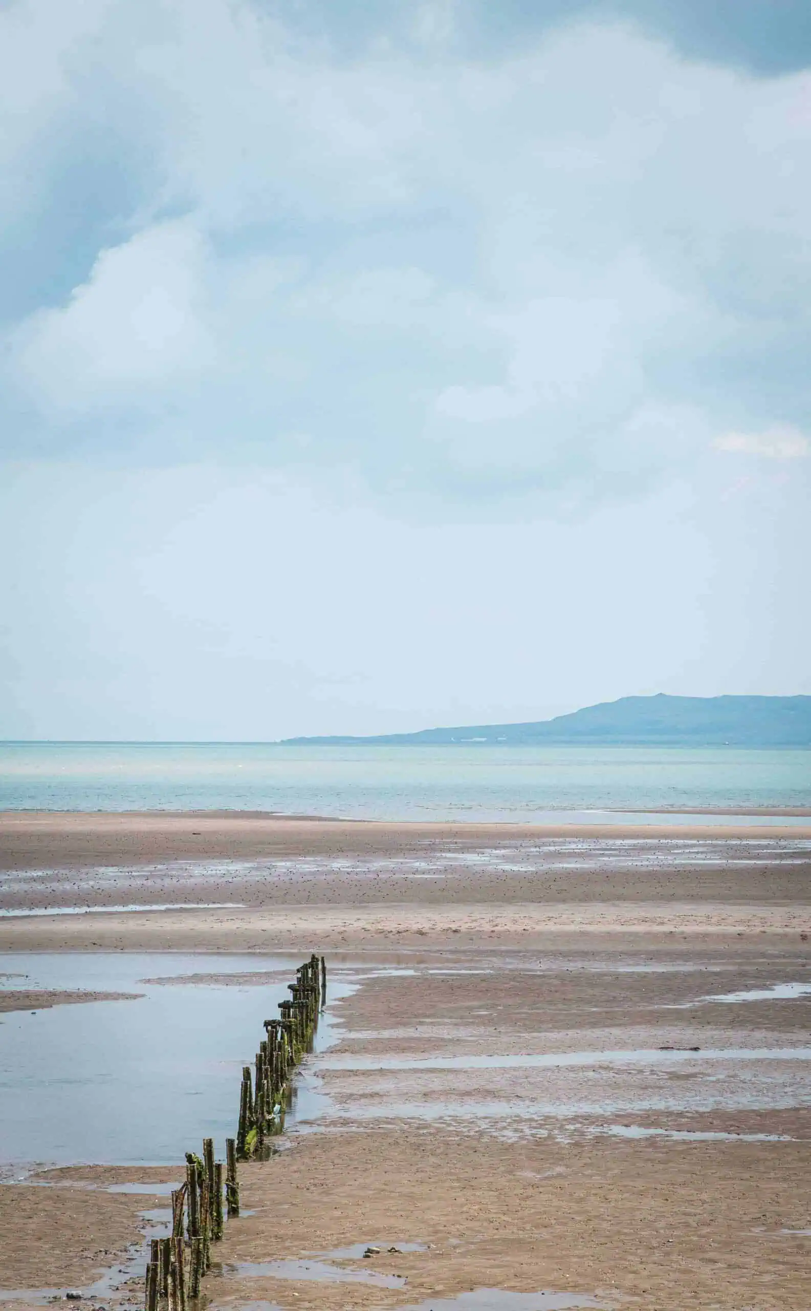 A wooden breakwater extending into the sea on the Portmanock to Malahide walk, with a clear view of the expansive sandy beach and a cloudy sky.