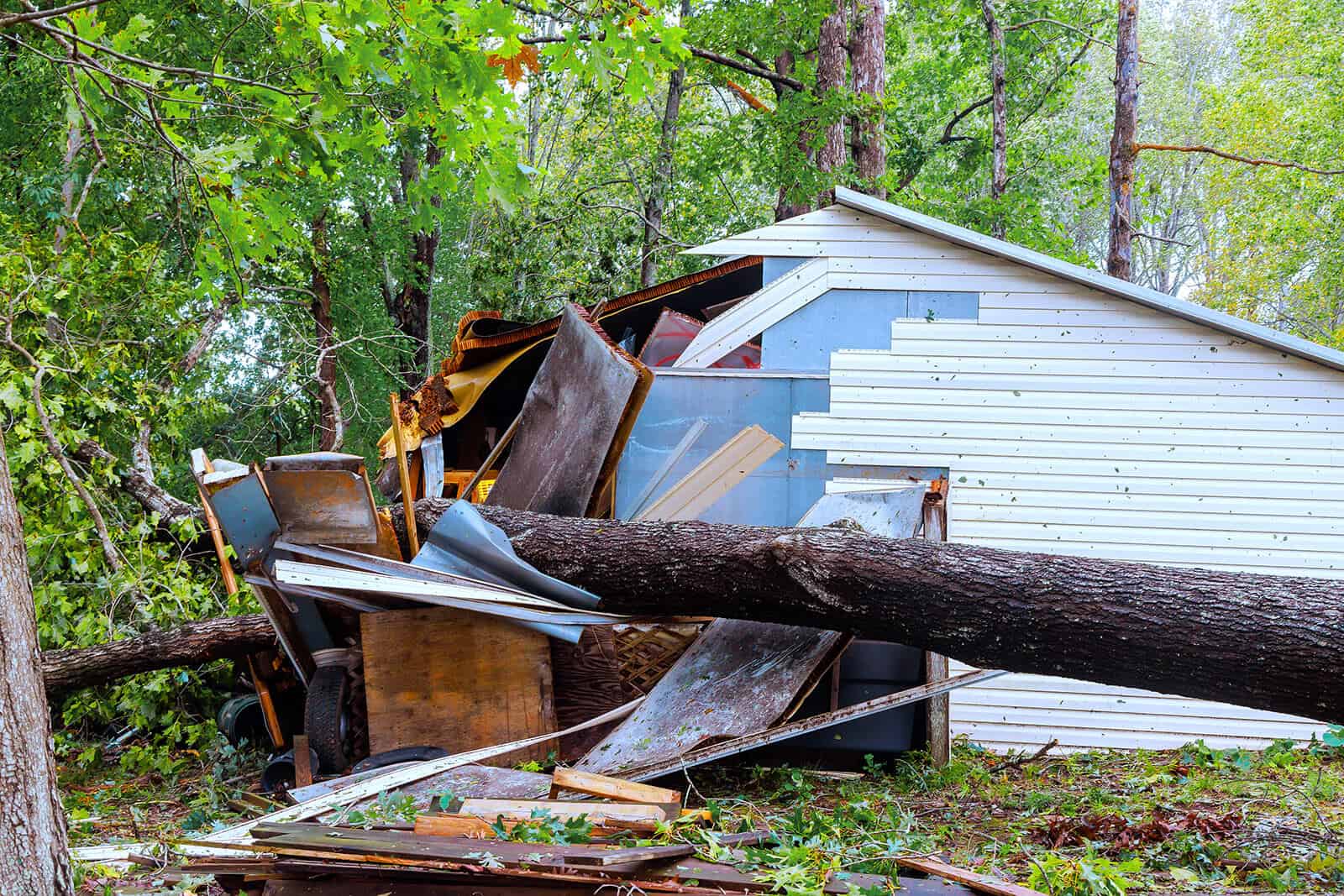 Tree Fallen on Top of House