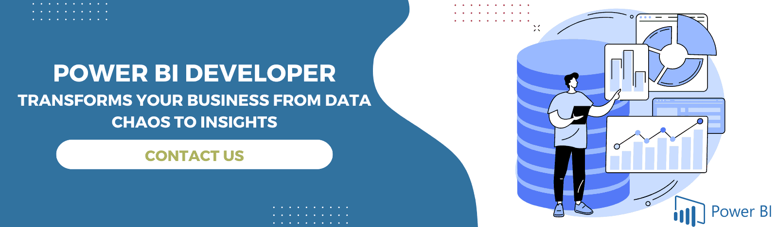 Power BI Developer