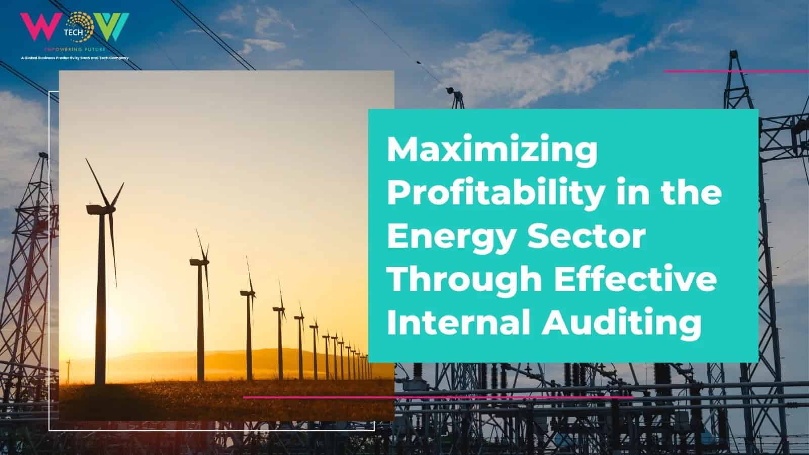 Maximize profit in energy with effective internal auditing software