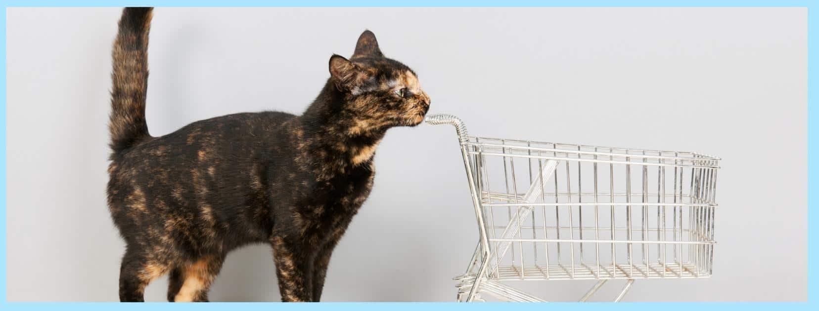 torti cat pushing a shopping cart